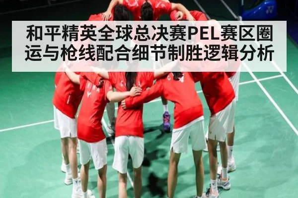 和平精英全球总决赛PEL赛区圈运与枪线配合细节制胜逻辑分析 - NG28