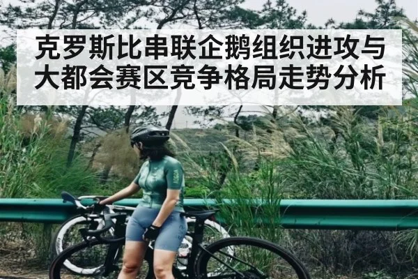 克罗斯比串联企鹅组织进攻与大都会赛区竞争格局走势分析 - NG28